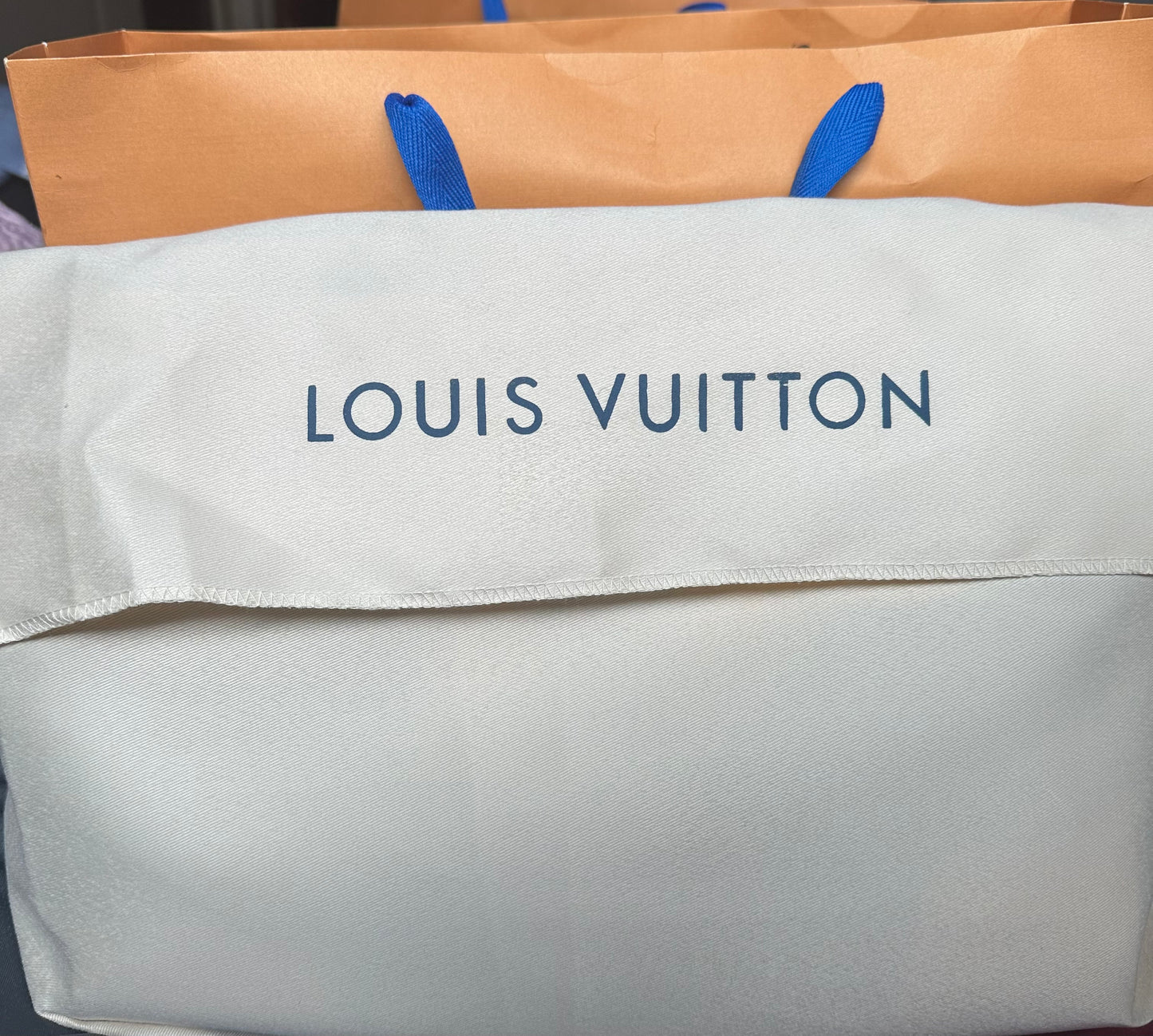 Louis Vuitton Purse