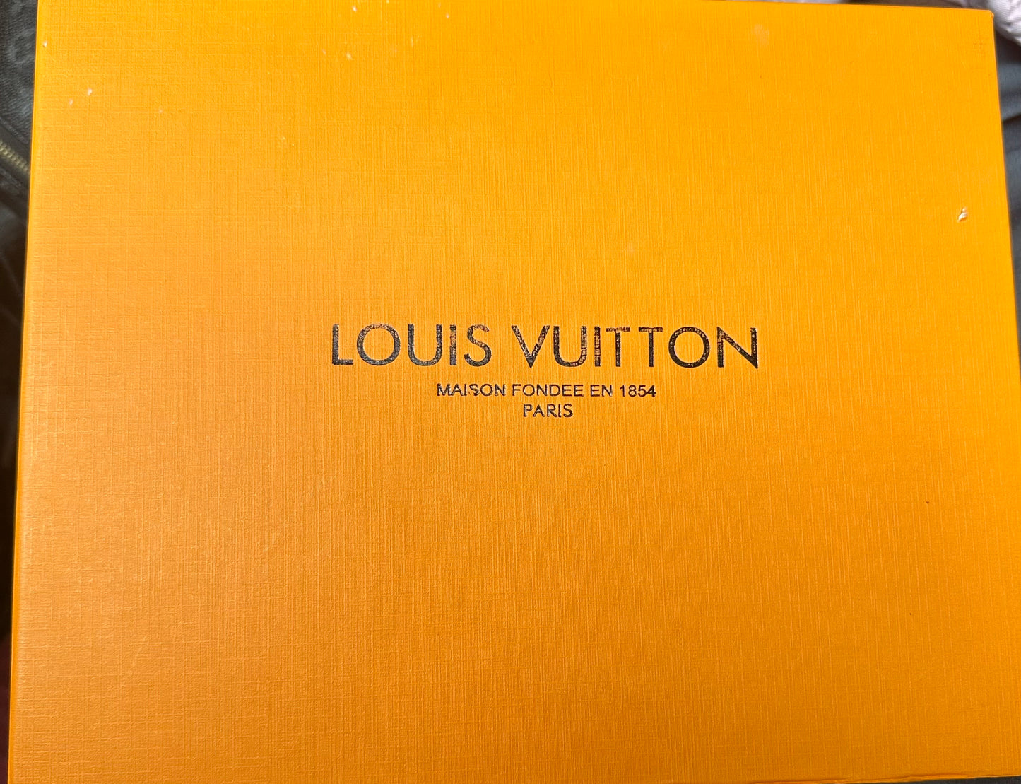 Louis Vuitton Bag